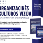 Organizacinės kultūros vizija